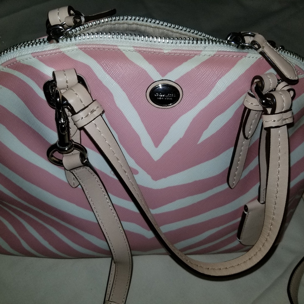 Coach Sierra Mini Satchel